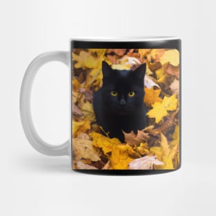 Black Cat in Autumn 1 Mug